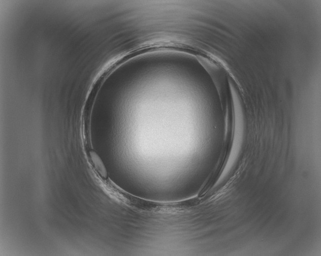 X0000054411034200508121720