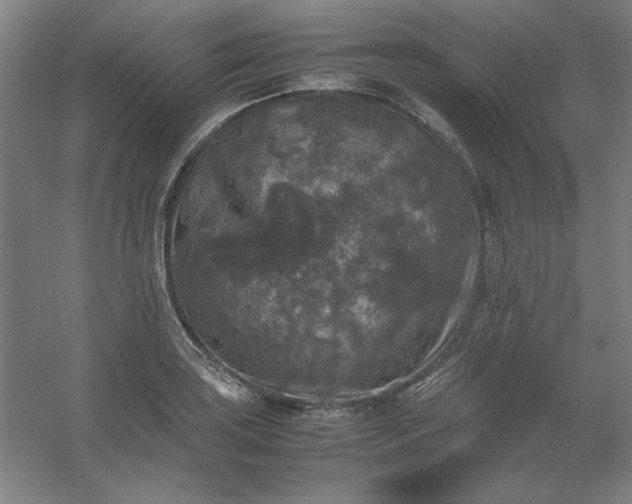 X0000054411035200508121720