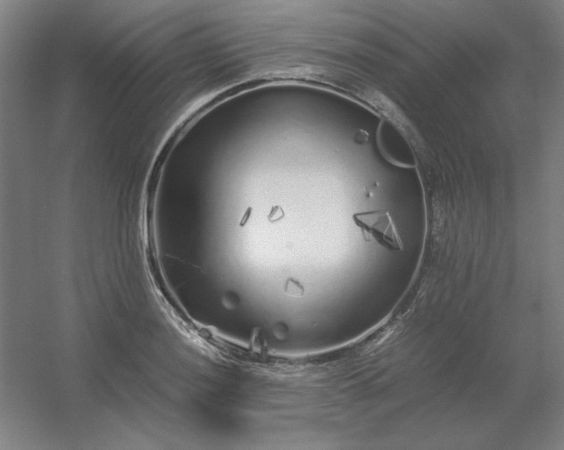 X0000054411036200508121720