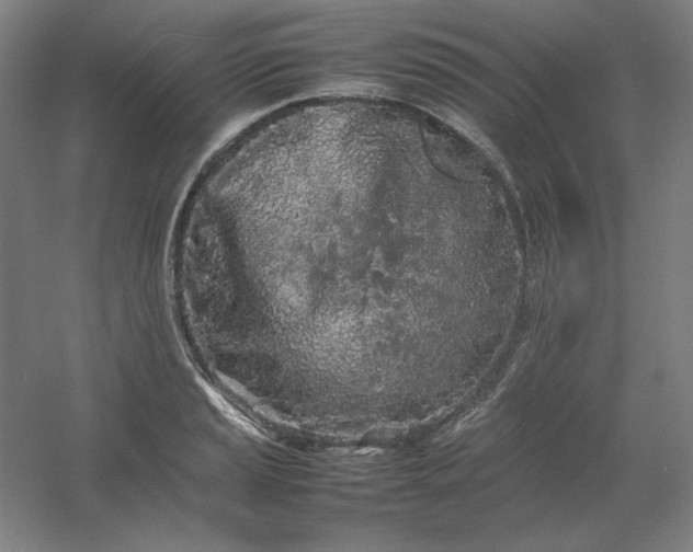 X0000054411037200508121720