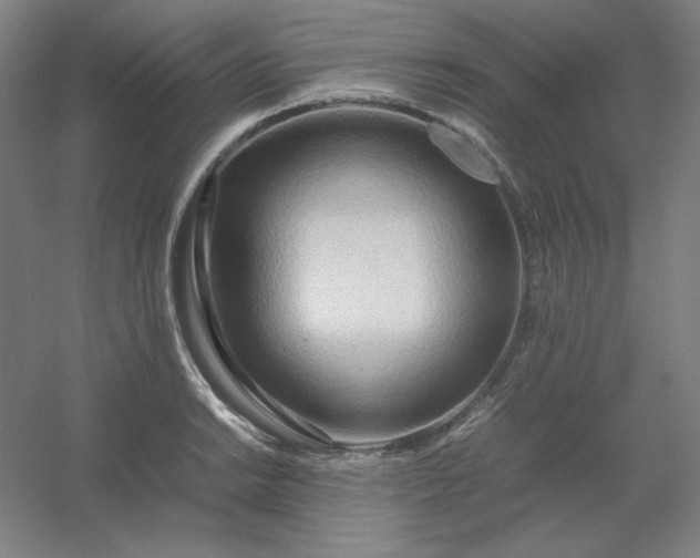 X0000054411038200508121720