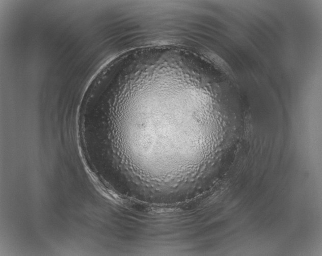 X0000054411039200508121720