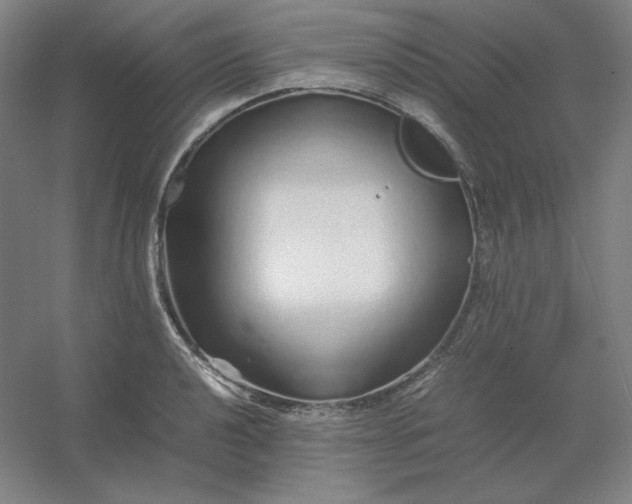 X0000054411040200508121720