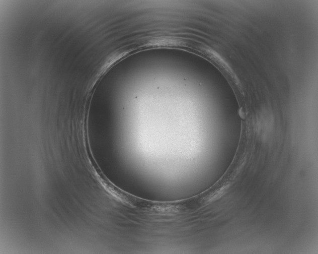 X0000054411041200508121720