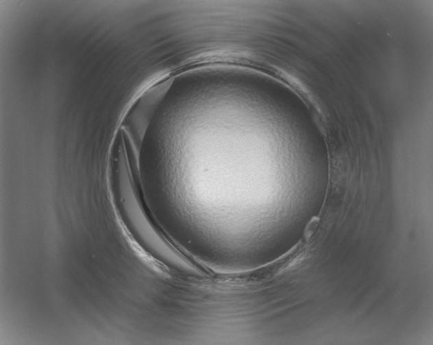 X0000054411042200508121720