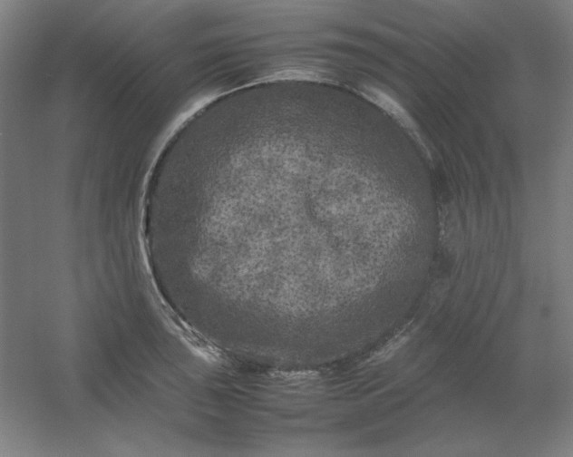 X0000054411043200508121720