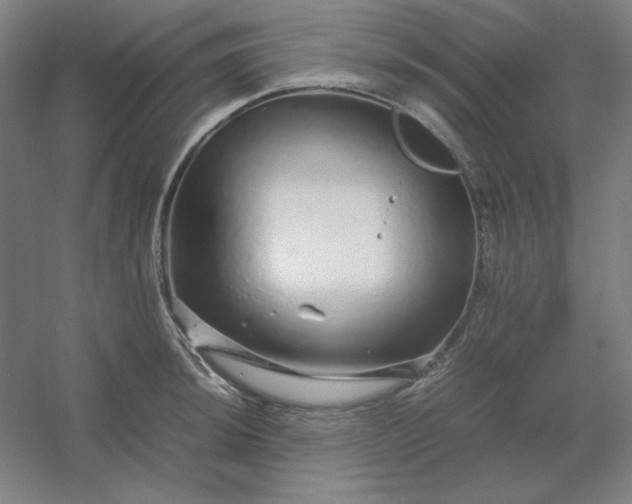 X0000054411044200508121720