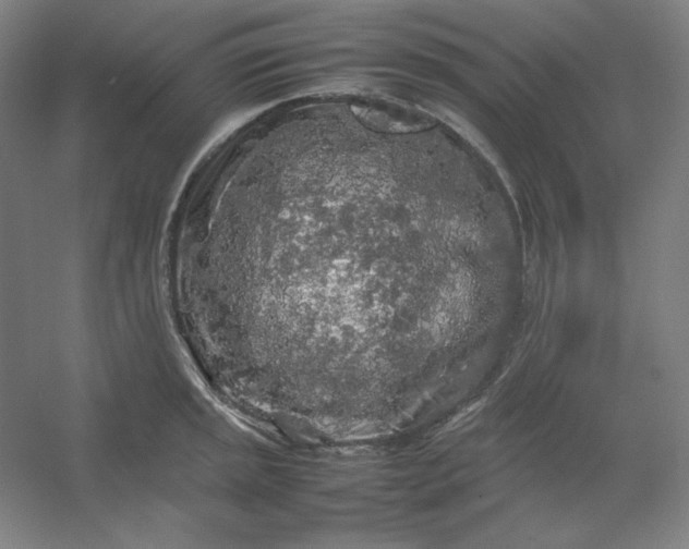 X0000054411045200508121720