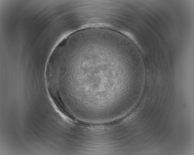 X0000054411046200508121720