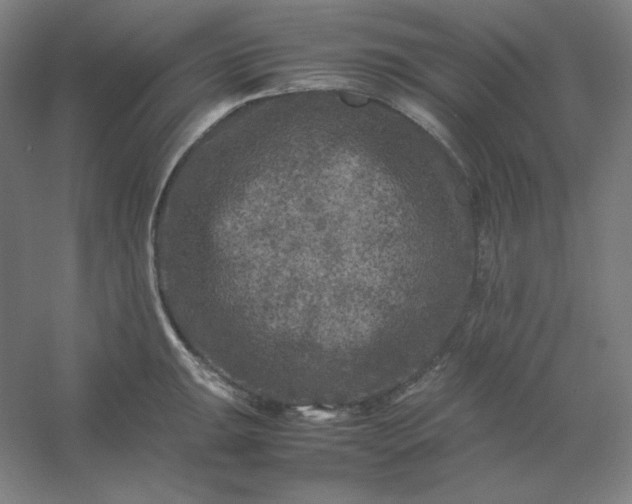 X0000054411047200508121720