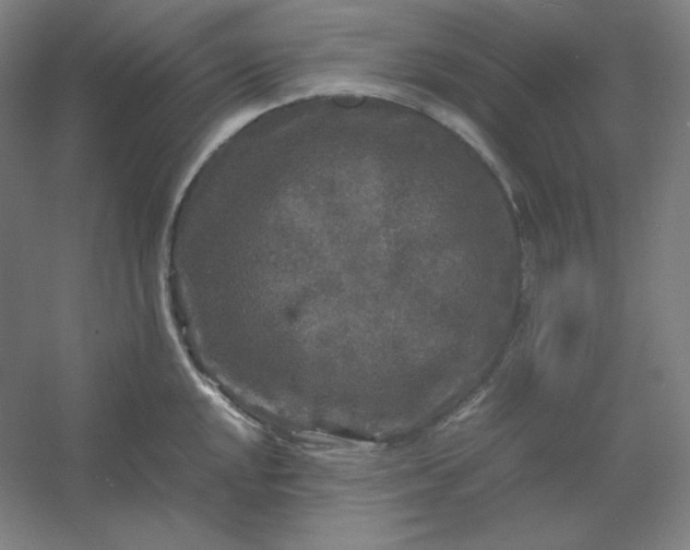 X0000054411048200508121720