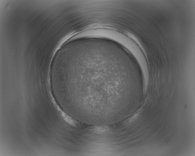 X0000054411050200508121720