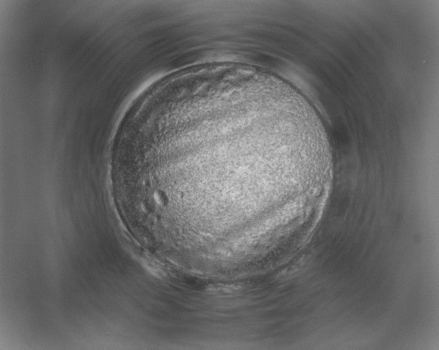 X0000054411051200508121720