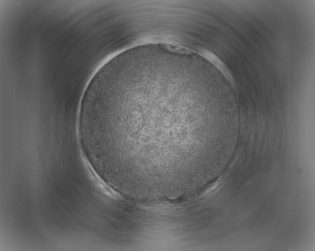 X0000054411052200508121720