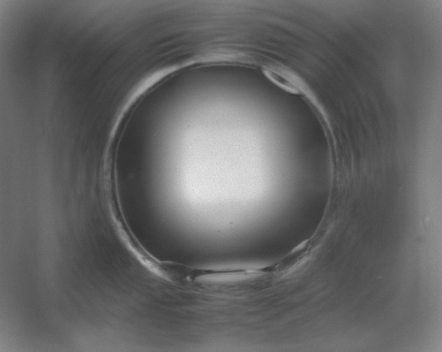 X0000054411053200508121720