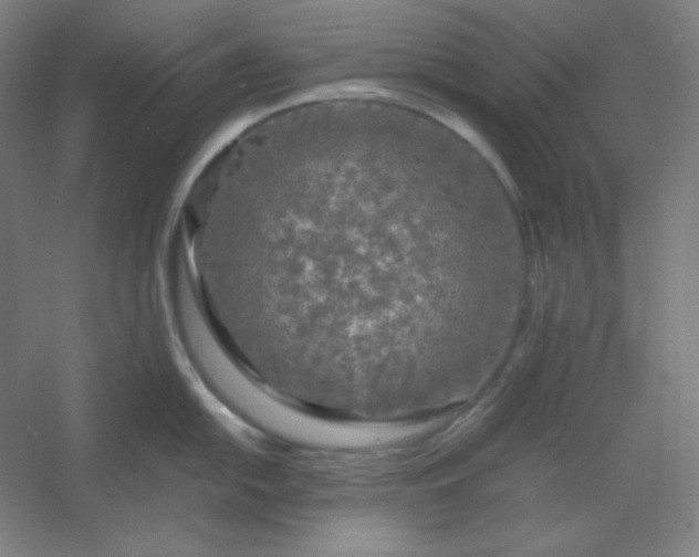 X0000054411054200508121720