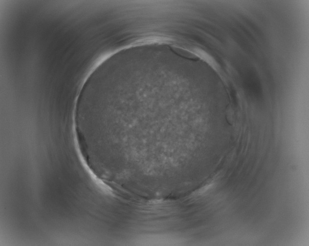 X0000054411055200508121720