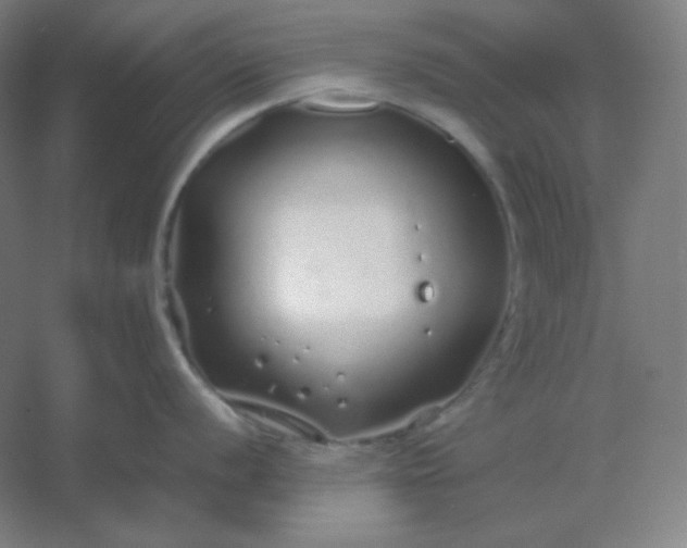 X0000054411056200508121720