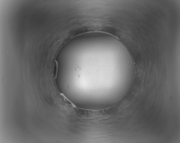 X0000054411057200508121719