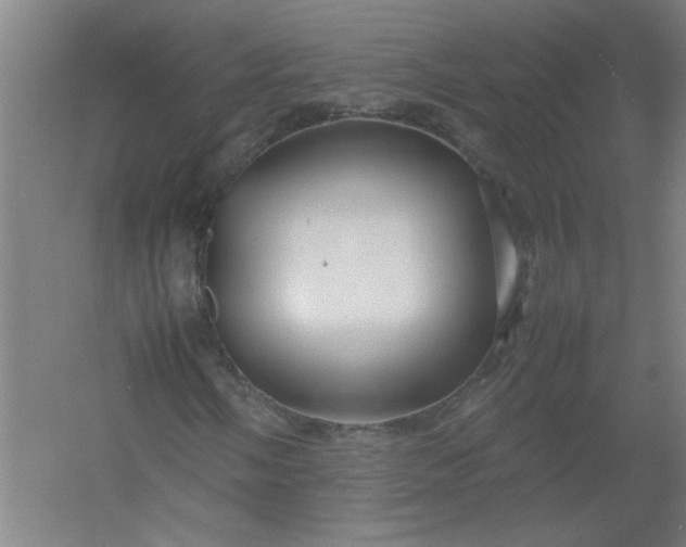 X0000054411058200508121719