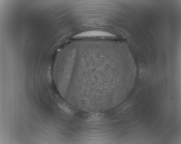 X0000054411060200508121719