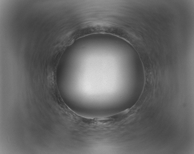 X0000054411061200508121719