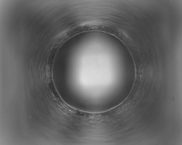 X0000054411062200508121719