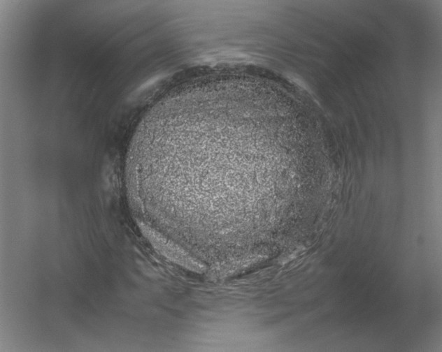 X0000054411063200508121719