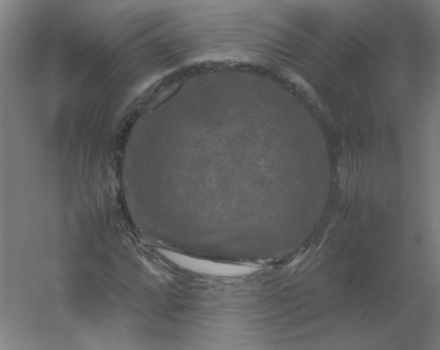 X0000054411064200508121719