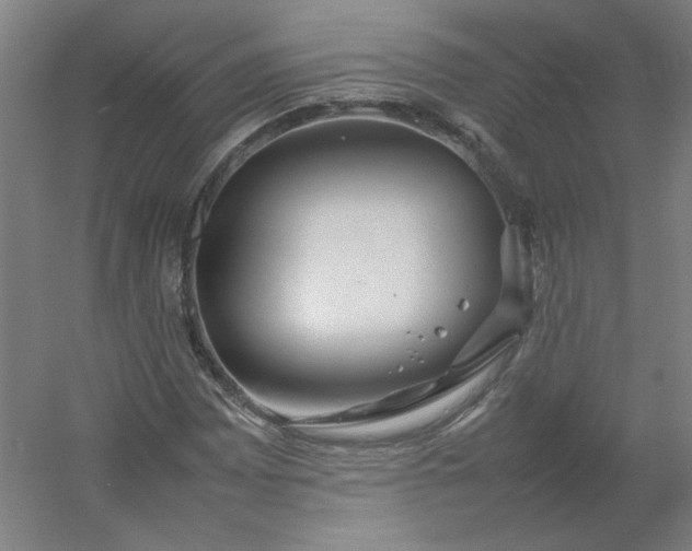 X0000054411065200508121719