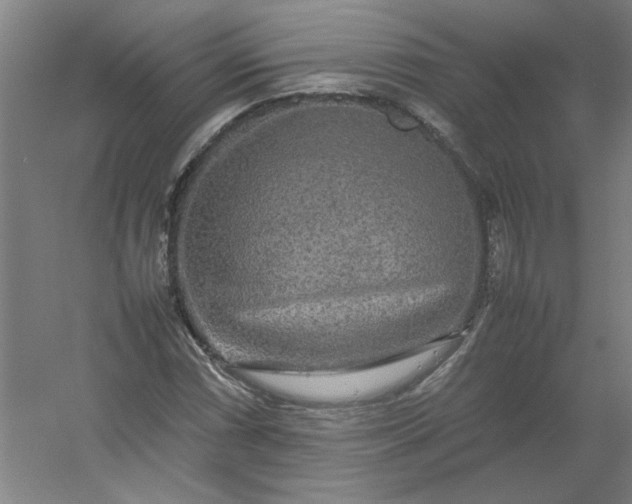 X0000054411066200508121719