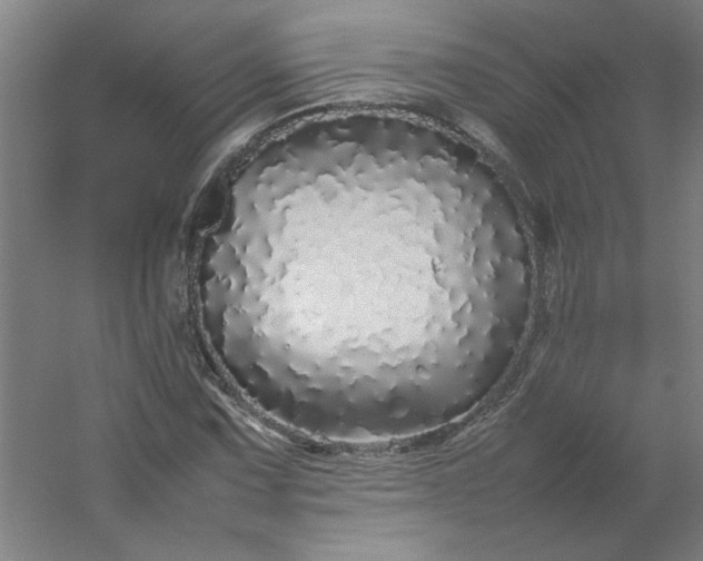 X0000054411067200508121719