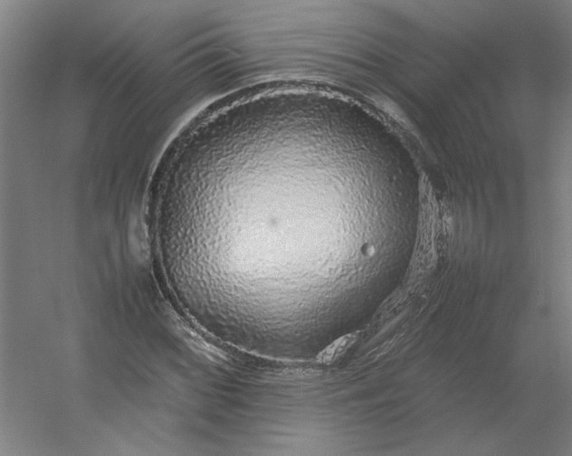 X0000054411068200508121719