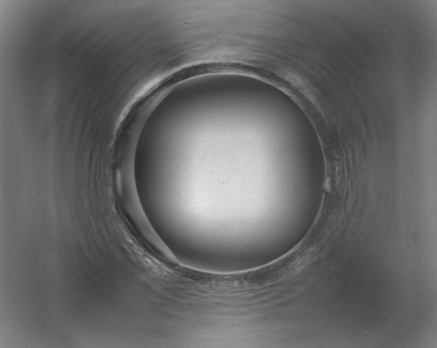 X0000054411069200508121719