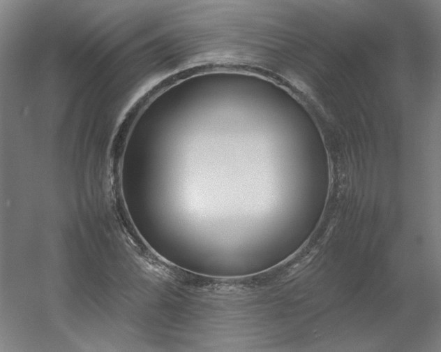 X0000054411070200508121719