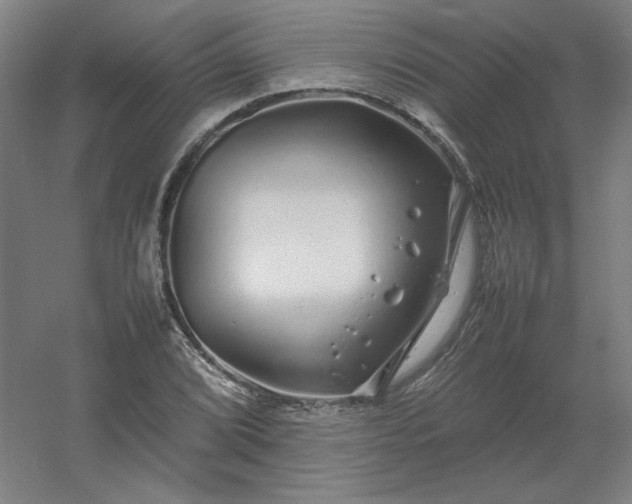 X0000054411072200508121719