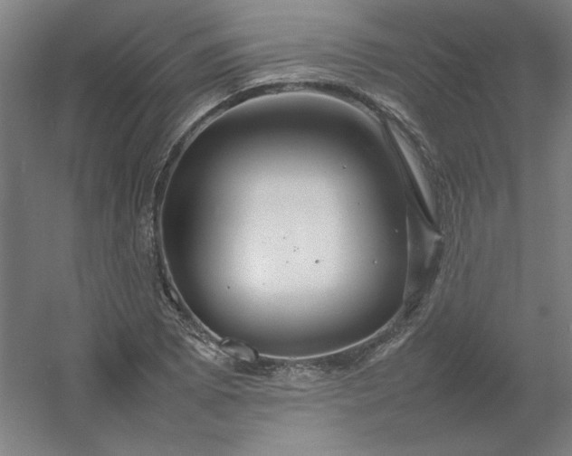 X0000054411073200508121719