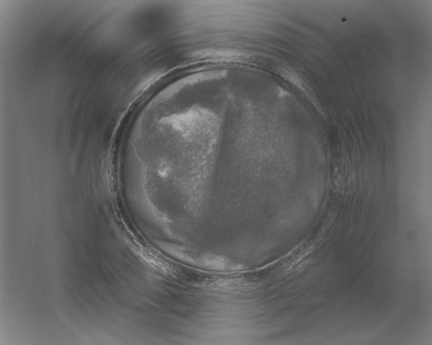 X0000054411074200508121719