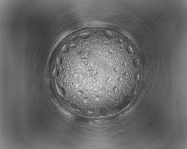 X0000054411075200508121719