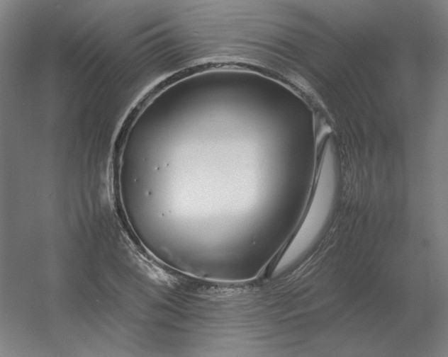 X0000054411076200508121719