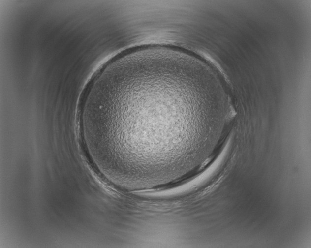 X0000054411077200508121719