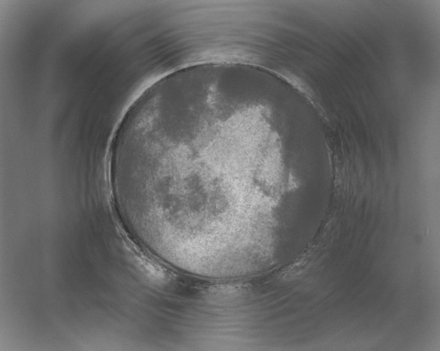 X0000054411078200508121719