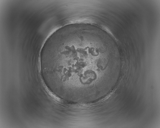 X0000054411079200508121719