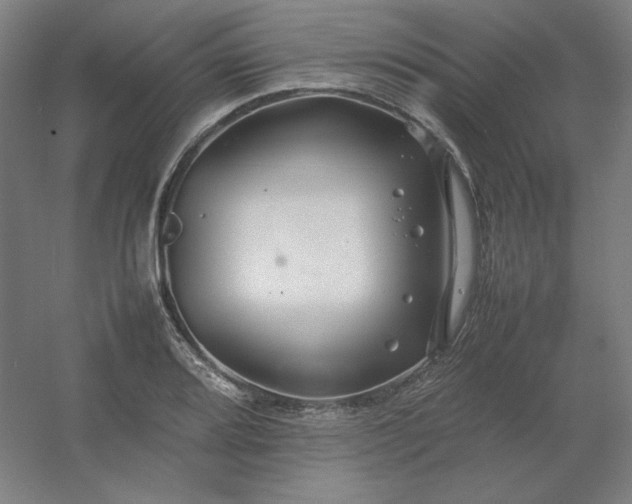 X0000054411080200508121719