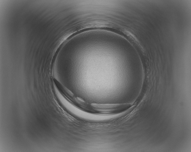 X0000054411081200508121719