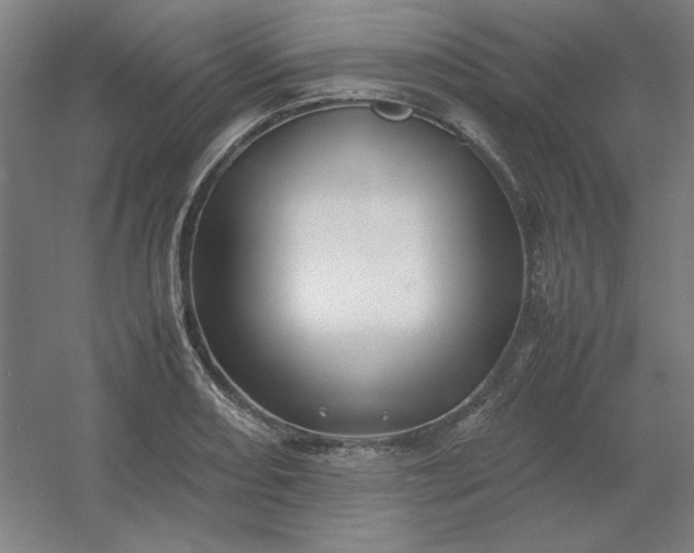 X0000054411082200508121719