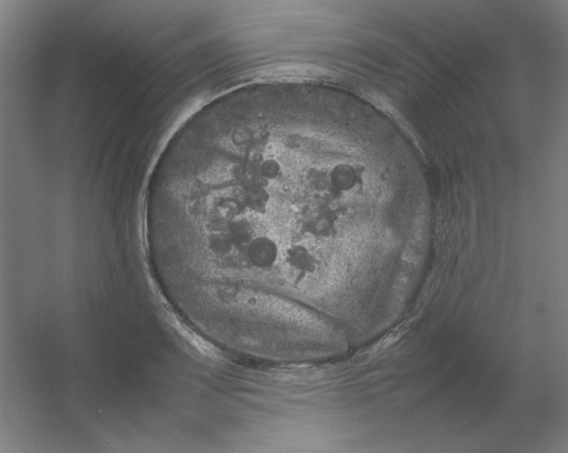 X0000054411083200508121719