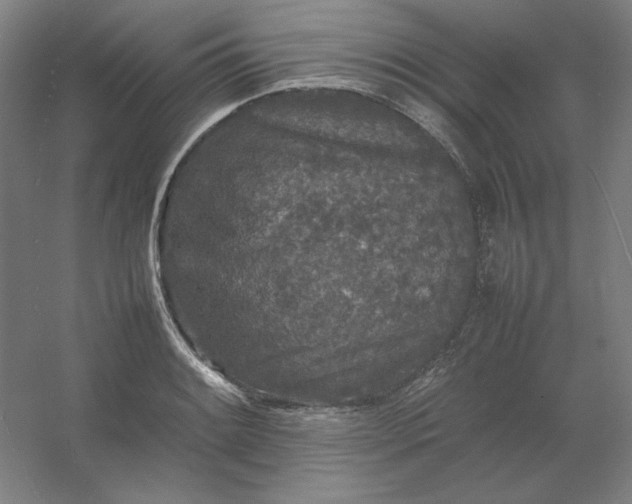 X0000054411084200508121719