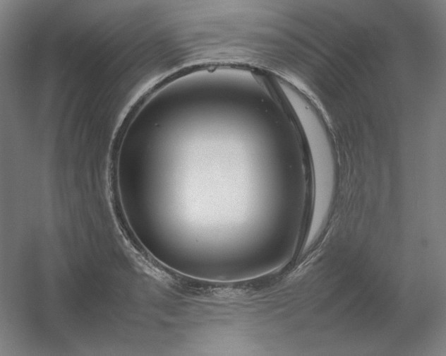 X0000054411085200508121719