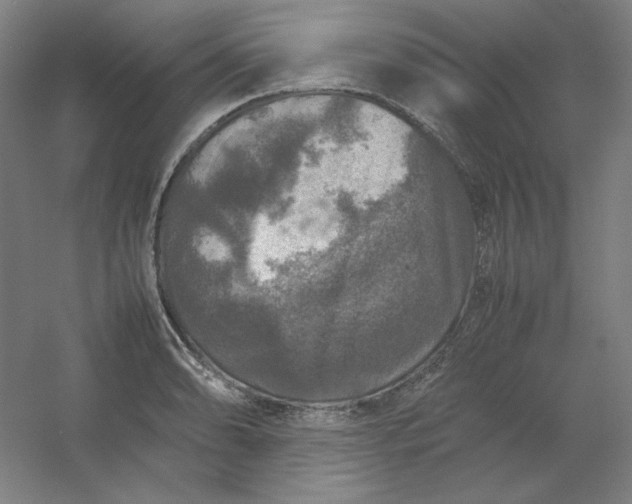 X0000054411086200508121719